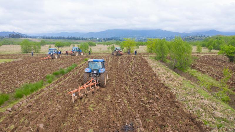 მოქალაქეები მიწის ნაკვეთების უფასოდ რეგისტრაციას 2026 წლამდე შეძლებენ