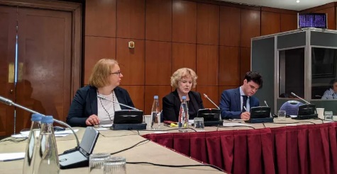 გაერო-ს სპეციალური მომხსენებლის განცხადებით, „შეკრებებისა და მანიფესტაციების შესახებ“ კანონში შეტანილი ცვლილებები მშვიდობიანი პროტესტის უფლების შეზღუდვას ისახავს მიზნად და ხელისუფლებას მოუწოდებს, აღნიშნული კანონი უკან გაიხმოს