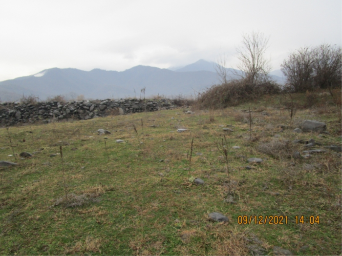 pirveli1-1709030225.png