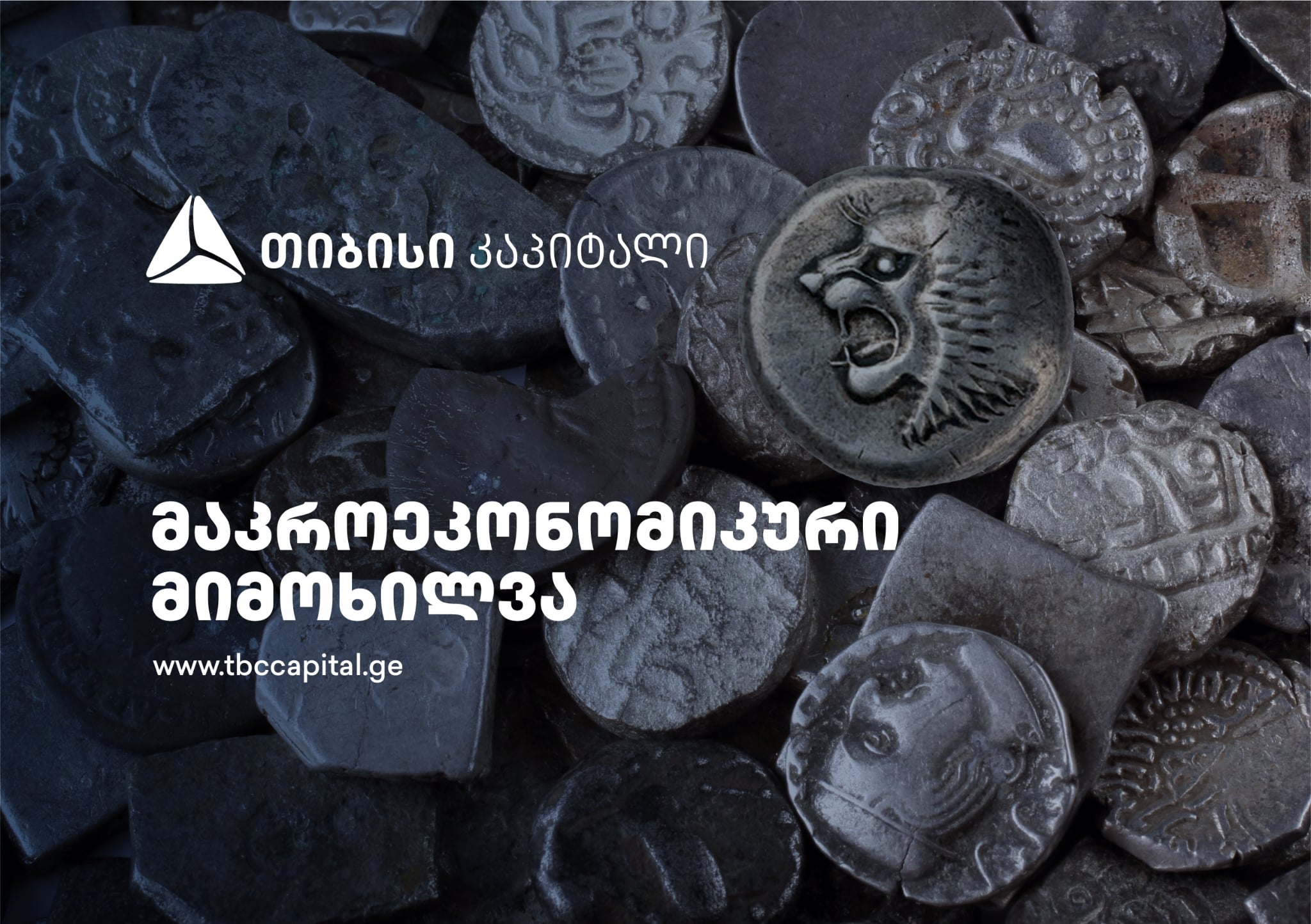 სავალუტო შემოდინებები გაიზარდა, კვლავ ევროკავშირის წამყვანი წილით